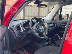 جيب رينيجيد